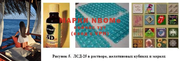 spice Богородск