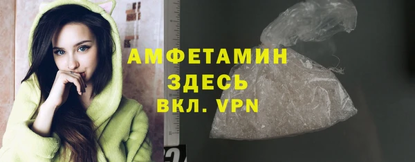 spice Богородск