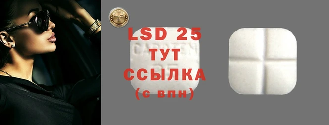 spice Богородск