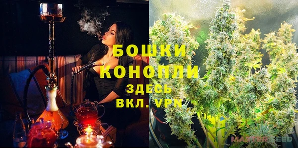 spice Богородск