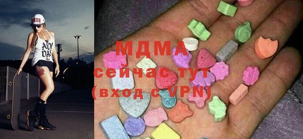 spice Богородск