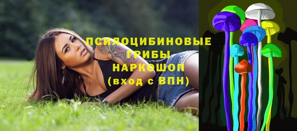 прущий лед Богородицк