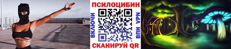 дарк нет Telegram Городище Галлюциногенные грибы Magic Shrooms